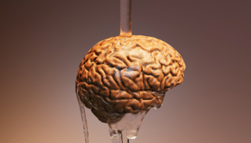 El psiquiatra que metió el Universo en una cáscara de nuez: cómo los hemisferios cerebrales conformaron el mundo occidental