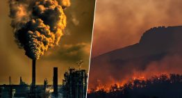 Alguien ha echado un vistazo a los signos vitales de la Tierra y ha llegado a una conclusión: debemos preocuparnos