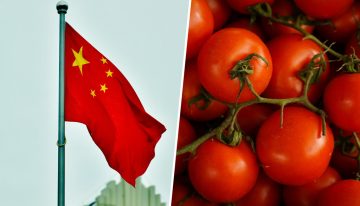 Italia lleva años importando su famosísima pasta de tomate «italiana» de China. Y ahora China tiene un problema