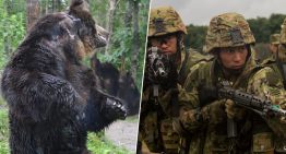 El envejecimiento de Japón ha explotado en emergencia: no es que haya osos hambrientos, es quién queda para hacerles frente