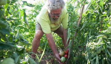 El auge de la proteína vegetal da una segunda vida a hortalizas en vías de extinción