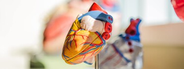 Sabíamos desde hace tiempo que nuestro corazón "se arregla" a sí mismo. Ahora sabemos mejor cómo