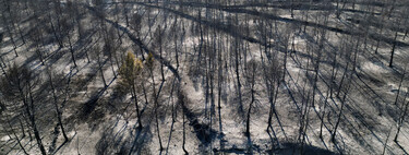 El incendio de Castellón solo es un anticipo de lo que nos espera: Cómo los incendios de sexta generación lo van a cambiar todo
