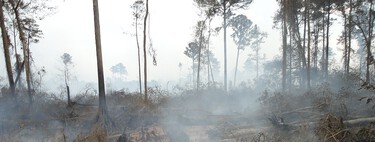 La gran amenaza para el Ártico está bajo el hielo: cómo los "incendios zombi" están arrasando la región