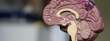 No necesitas más horas en el día. Lo único que se necesita es entender cómo funciona el cerebro para trabajar mejor con menos