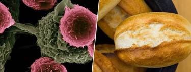 Las dietas bajas en carbohidratos se han puesto de moda: un estudio las acaba de correlacionar con mayor riesgo de cáncer