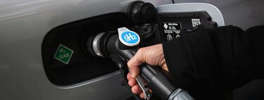 Ante desarrollar una pila de hidrógeno o competir con los eléctricos chinos, Stellantis ha elegido una tercera vía: rendirse