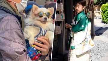 Como Japón se está quedando sin niños, está empezando a adoptar algunas ceremonias para un grupo al alza: los perros