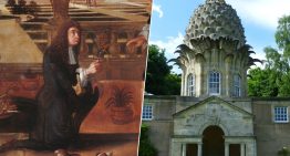 Colón introdujo la piña en Europa en 1496. 200 años más tarde los ingleses se volvieron locos