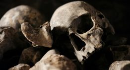 Encontraron un cráneo con forma de cubo en Tamaulipas y pensaron que era un migrante. La ciencia ha dado un vuelco a la historia