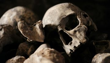 Encontraron un cráneo con forma de cubo en Tamaulipas y pensaron que era un migrante. La ciencia ha dado un vuelco a la historia