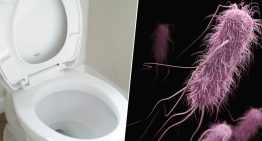 Llevamos toda la vida bajando la tapa del inodoro por higiene. La ciencia tiene malas noticias: no es suficiente