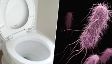 Llevamos toda la vida bajando la tapa del inodoro por higiene. La ciencia tiene malas noticias: no es suficiente