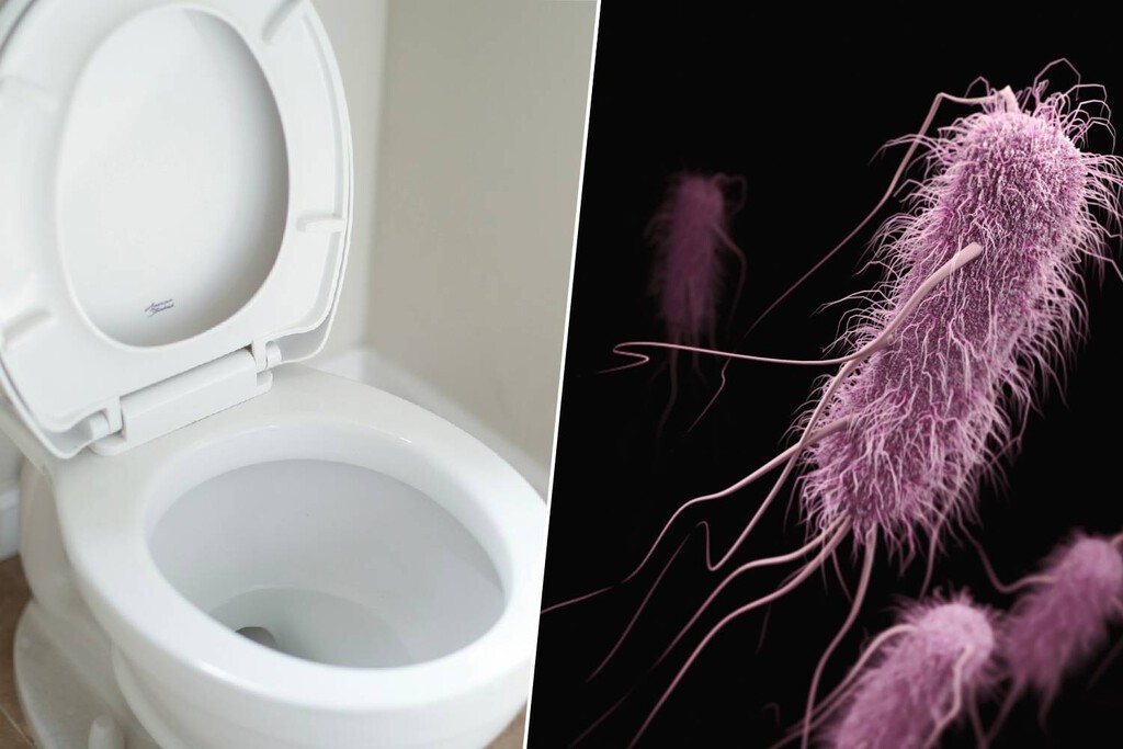 Llevamos toda la vida bajando la tapa del inodoro por higiene. La ciencia tiene malas noticias: no es suficiente 