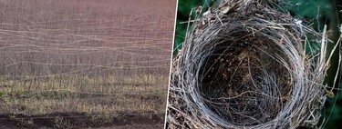 Rusia está ganando metro a metro la guerra en Ucrania gracias a una tecnología de lo más simple: fibra óptica