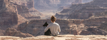 Un vínculo muy especial: por qué perder a un perro es tan duro como perder a un familiar