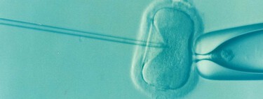 Un solo hombre ha engendrado a 197 hijos repartidos por 14 países de Europa. Y es señal de un problema más profundo