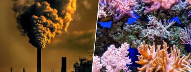 La Tierra está entrando en colapso climático con su primer punto de no retorno. Nuestra única salvación es la tecnología