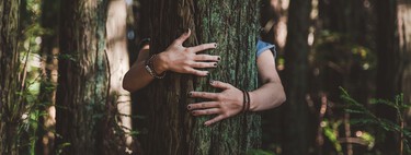 Regla 3-30-300: la técnica holandesa que usa la naturaleza para aumentar la felicidad