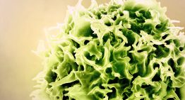 Un grupo de científicos usa las tecnologías de las vacunas de la covid para rejuvenecer el sistema imnune