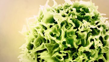 Un grupo de científicos usa las tecnologías de las vacunas de la covid para rejuvenecer el sistema imnune