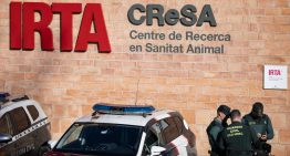 La auditoría al laboratorio señalado por la presunta fuga de la peste porcina deja todas las hipótesis abiertas