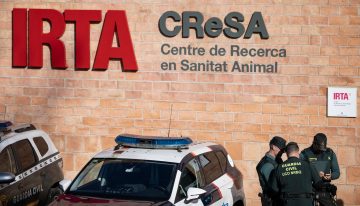 La auditoría al laboratorio señalado por la presunta fuga de la peste porcina deja todas las hipótesis abiertas