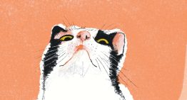 7 consells per escollir un llibre infantil