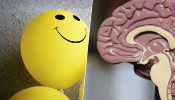 Malas noticias, Mr. Wonderful tenía razón: los pensamientos positivos pueden «hackear» tu cerebro y mejorar tu inmunidad