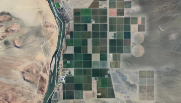 Cuadrados verdes en mitad del desierto: el «milagro» de Namibia para llenar de uvas los supermercados de Europa