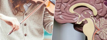 La ciencia ha resuelto uno de los misterios más extraños de la especie humana: la gente a la que no le gusta la música