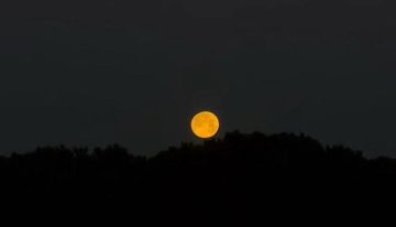 Luna del lobo 2026: fecha, hora y cómo ver la primera superluna del año en España