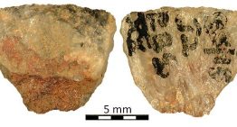 El uso más antiguo de veneno para la caza, hallado en puntas de flecha de hace 60.000 años