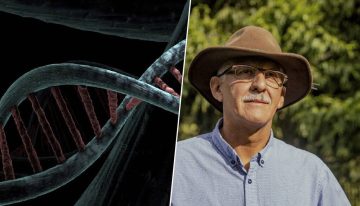 Durante años culpamos a la testosterona de que los hombres vivieran menos. Ahora sabemos que el culpable es un cromosoma