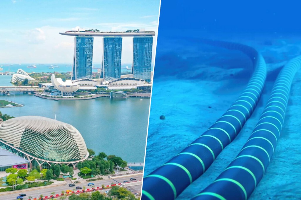 Singapur es el "corazón" oculto de Internet y de las telecomunicaciones globales. Todo empezó con un árbol oriundo de allí 