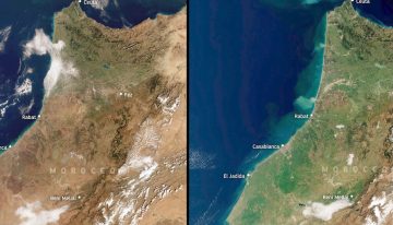 Imágenes satelitales no dejan lugar a dudas: ha llovido tanto que Marruecos no se veía tan verde desde hace una década