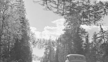 Para Finlandia, proteger sus carreteras en la segunda Guerra Mundial era esencial, así que se inventó los árboles voladores