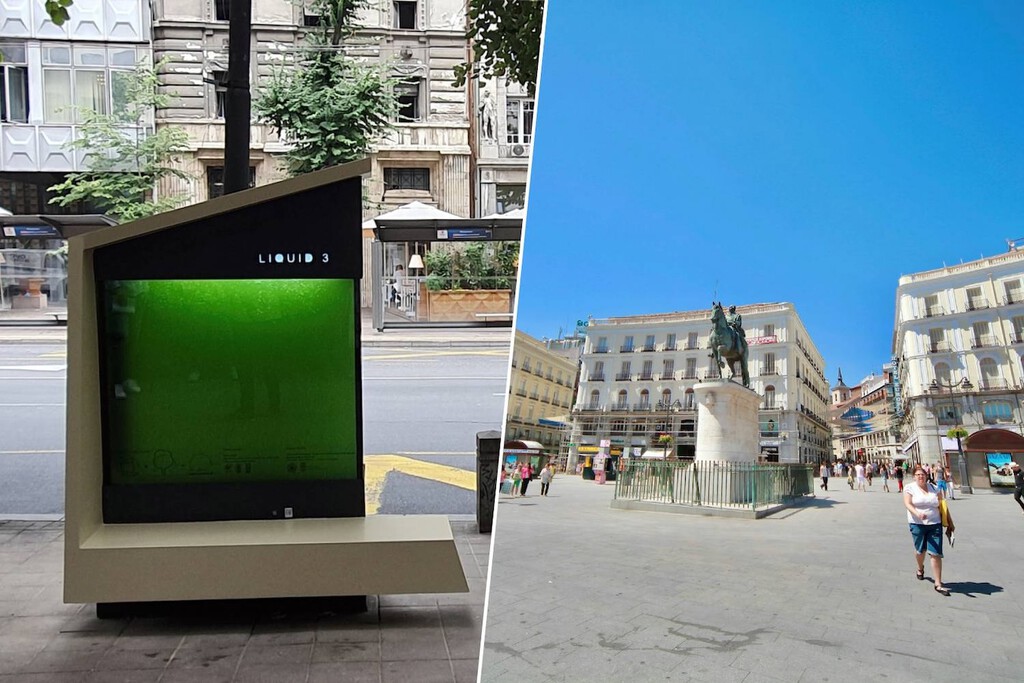 España tiene las ciudades con menos arbolado de Europa: llega el árbol líquido que no necesita suelo ni espacio