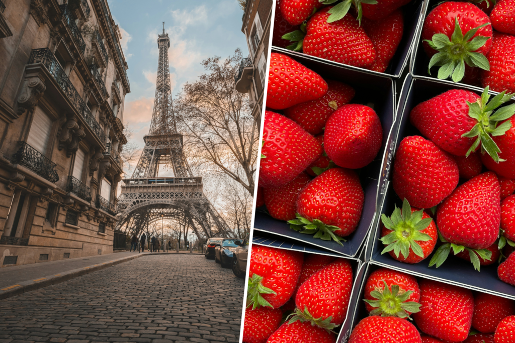 Francia lleva toda la vida tirando los camiones de fresa en la frontera: ahora las está vetando por pesticidas 