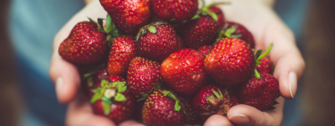 El mayor estudio sobre alimentación sostenible lo confirma: la proteína vegetal gana la partida 