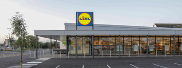 Hoy lunes, 23 de marzo, llega a Lidl el aliado compacto y barato para sobrellevar la alergia esta primavera