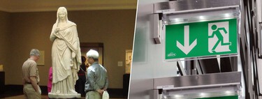 El tesoro más valioso de un museo no es ni el arte ni los fósiles: es el documento secreto de salvación 