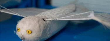 Durante años hemos asociado los drones a las hélices: en China exploran una alternativa inspirada en la naturaleza 