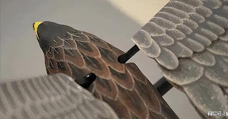 Dron Bionico China 2