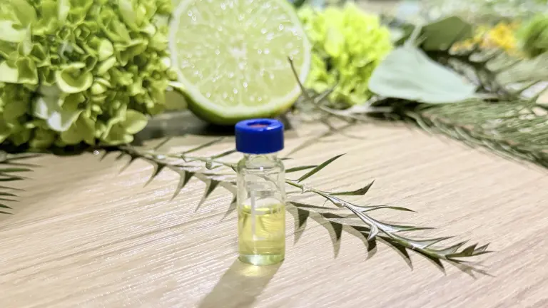 El sabor de la comida tambíén se diseña en laboratorios con inteligencia artificial