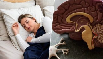 Olvidar los sueños al despertar parecía una anécdota sin importancia. Un macroestudio español lo ha vinculado con el alzhéimer