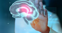 Ni «muerte en pausa» ni resurrección: la verdad detrás del hito médico que ha devuelto la actividad a un cerebro congelado