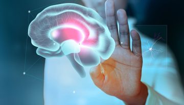 Ni «muerte en pausa» ni resurrección: la verdad detrás del hito médico que ha devuelto la actividad a un cerebro congelado