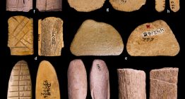 Si alguien piensa que apostar es un vicio moderno, acabamos de encontrar un juego de azar de más de 12.000 años