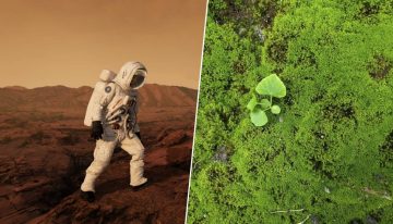 Hemos cubierto la ISS de musgo con un solo objetivo. Y ahora la posibilidad de «terraformar» Marte está más cerca